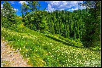 HD Wallpaper Kashmir Wallpapes
