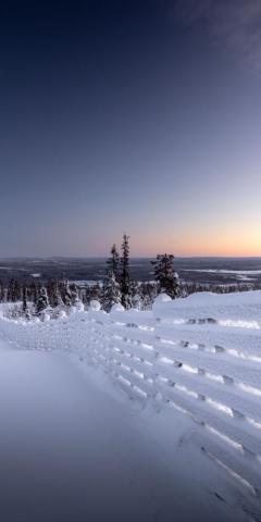 Frost Snow Layer Landscape Winter Sunset Fence