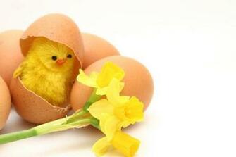 Things According To Me Easter