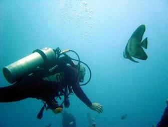 Underwater Scuba Diving News HD Wallpaper
