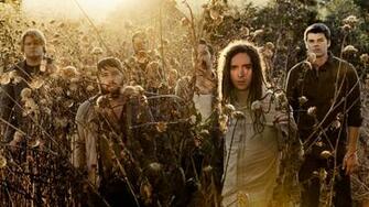 Wallpaper Underoath Sun Field