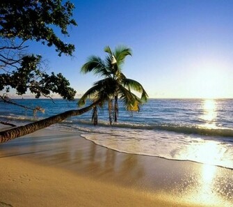 Summer Beach Screensaver Wallpaper