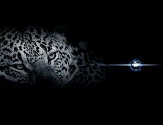 Mac Os Leopard Wallpaper HD IwallHD