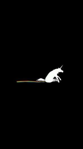 Funny Horses Poop Wallpaper Allwallpaper In Pc En