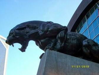 Carolina Panthers Pictures HDwallpaperwindow Choose Quality