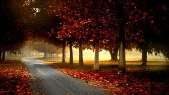 Fall HD Wallpaper Background Image Id