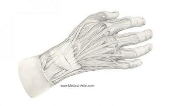 Medical Desktop Background