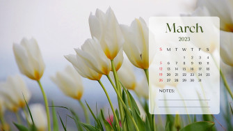 And Customizable Spring Desktop Wallpaper Templates