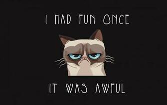 Grumpy Cat Funny Sadness Grief Stock Photos Image HD