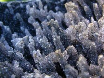 Black Amethyst From Spiritrock Shop