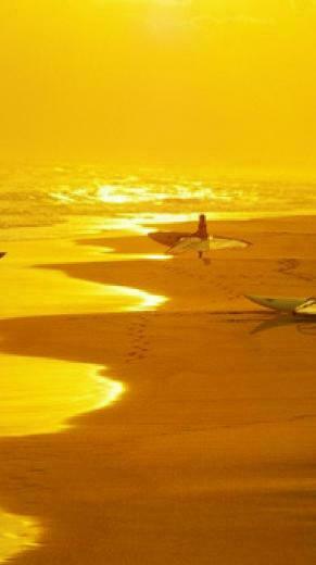 Yellow Day Avec Image Esth Tique Jaune Photographie