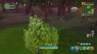 Fortnite Hiding In Bush Wallpaper