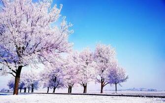 Winter Stock Photosnature Background Nature Mac