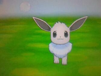 Shiny Eevee Anyone By Tashiyoukai