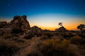 Joshua Tree National Park Wallpaper