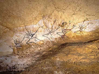 Early Humans Made Animated Art Issue Light Nautilus