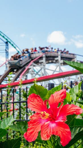 Activities Kennywood