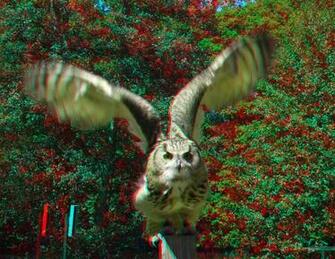 Eye Popping Anaglyph 3d Image Designget