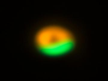 Alma And Vlt Image Of Comet Factory Around Oph Irs Eso