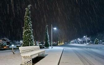 Winter Jpg
