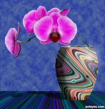 Pashmina Paint