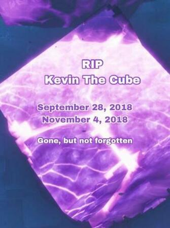 Rip Kevin August 24th November 4th Fortnitebr Ballersinfo