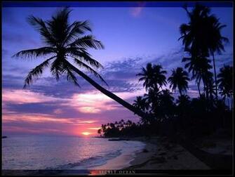 Secret Ocean Widescreen Wallpaper
