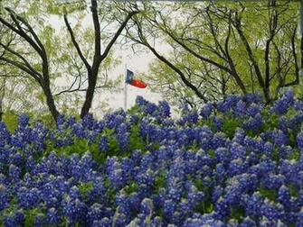 Texas Flag In Mesquites Bluebonnets Rustic Image Foundmyself