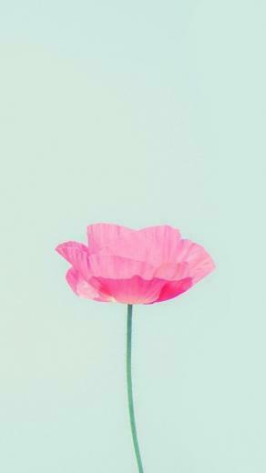 iPhone 5s Wallpaper iPhone5 Background