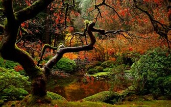 Japanese Garden Autumn Wallpaper