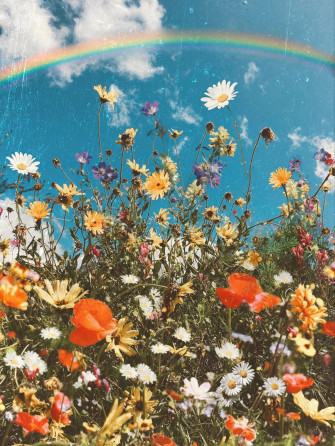 Rainbow Aesthetic Wallpaper