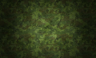 Camouflage HD And Desktop Background