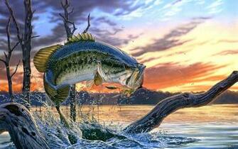 Bass Fishing Wallpaper Background