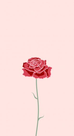 Cute Rose Wallpaper