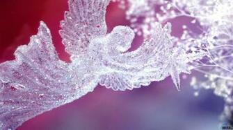 Wallpaper Christmas Angel X Widescreen Desktop