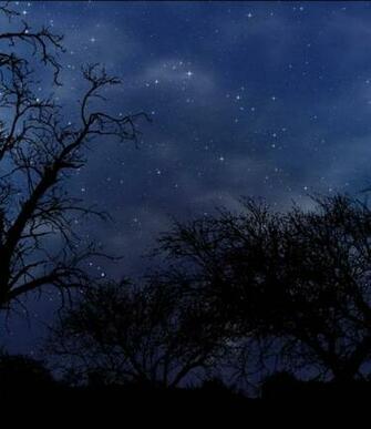 Beautiful Widescreen Wallpaper