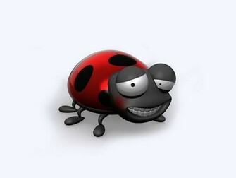 3d Animal Cartoons Ladybird Funny Cartoon Wallpaper