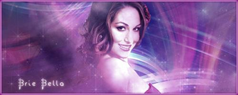 Brie Bella Wwe Diva Former Divas Champion By Dottedmug