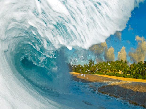 Amazing Clark Little Photography In The Sea Image Gallery