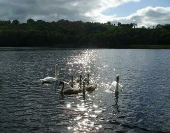 Ireland Wallpaper Galerry