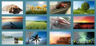Wallpaper From Msn Beta
