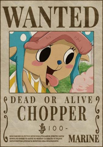 Chopper Bounty Wanted Poster One Piece Bounties