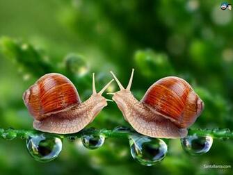 Full HD Wide Nature Wallpaper Image I Beautiful Photos