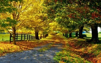 Great Minds Discuss Ideas Autumn Wallpaper For Desktop