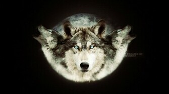 Wolfpack Wallpaper Picture