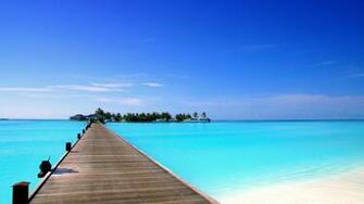 Beautiful Eotic Island Nature Paradise Beach HD