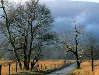Sparks Lane Cades Cove Great Smoky Mountains National Park Tennessee