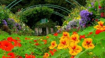 Monet S Garden Giverny