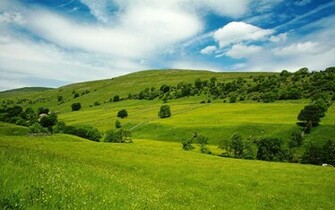 Most Beautiful Summer S Nature Wallpaper Stocks