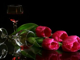 HD Nature Wallpaper Still Life